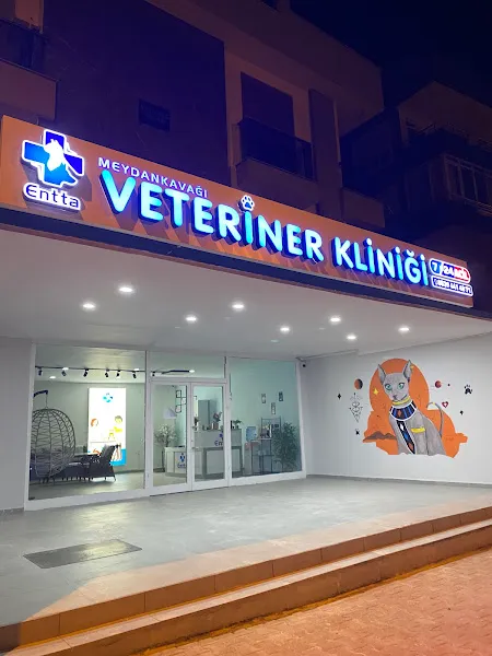 Meydankavağı ENTTA Veteriner Kliniği foto 2