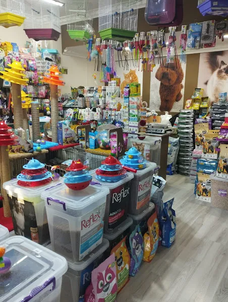 Aslan Pet Shop foto 2