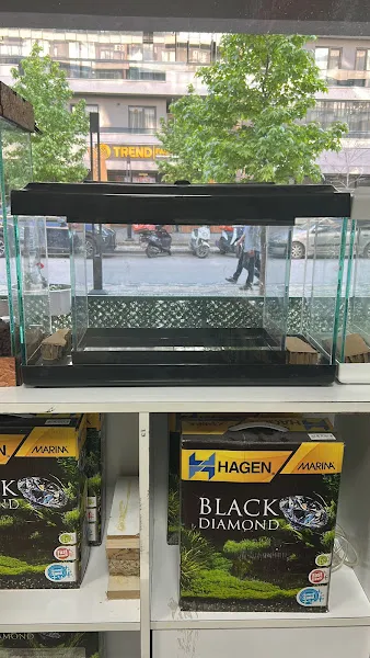 BERİL PETSHOP foto 2