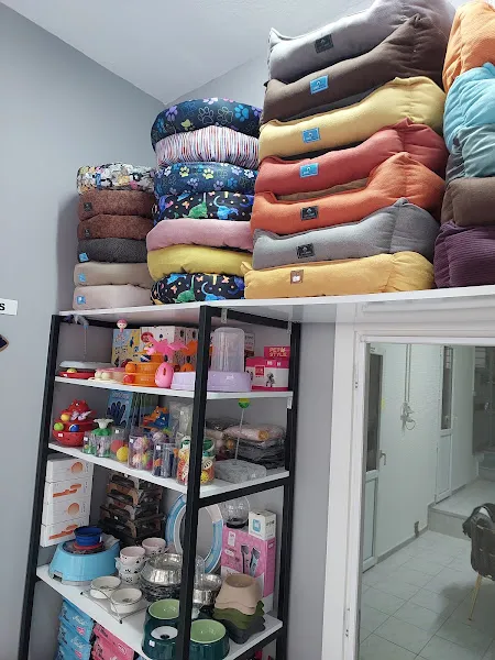 Pamir Petshop foto 2