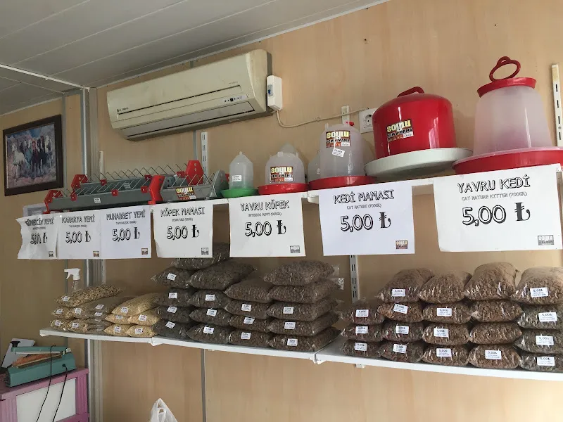 SOYLU foto 2