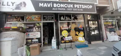 Mavi Boncuk Petshop