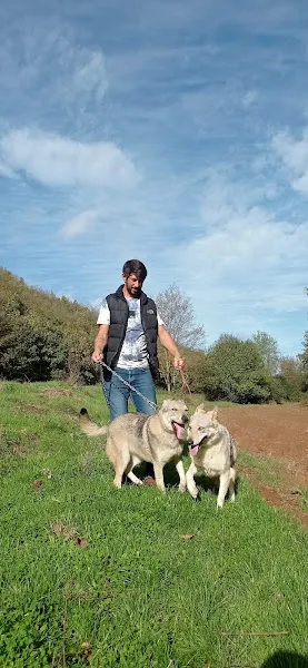 Mavi Boncuk Petshop foto 2