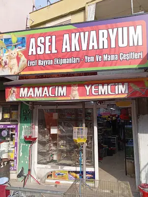 Asel İdil Akvaryum