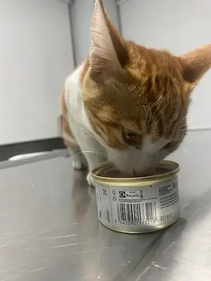 Hasan Kar Veteriner Kliniği