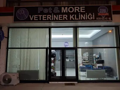 Etimesgut Petmore Veteriner Kliniği