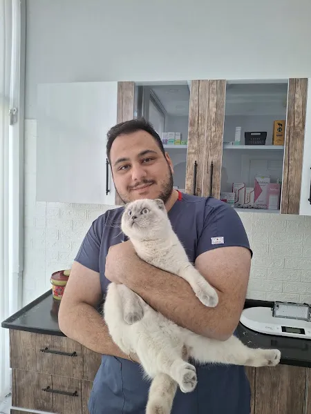 Etimesgut Petmore Veteriner Kliniği foto 2