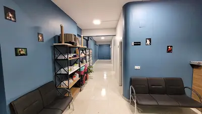 VetAntioch Veteriner Kliniği