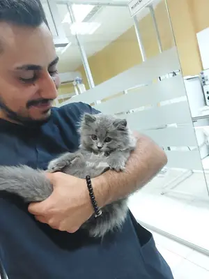Notus Veteriner Kliniği