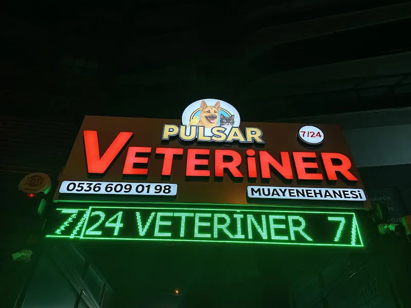 PULSAR Pet ve Kuş veteriner kliniği -atakent -acil 7/24 Halkalı / Küçükçekmece foto 1