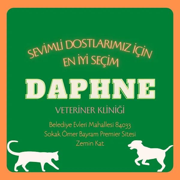 daphne veteriner kliniği foto 1