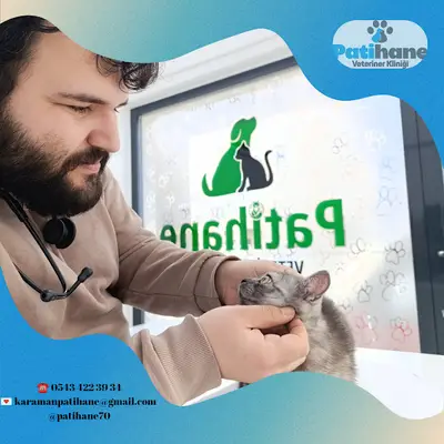 Patihane Veteriner Kliniği