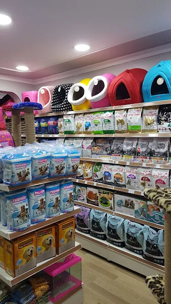 Güneş Petshop foto 2