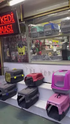 Şımarık Patiler