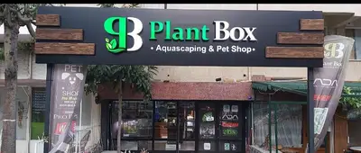 Plant Box Akvaryum