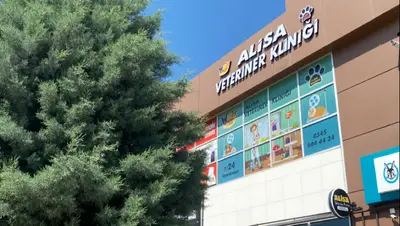 UŞAK ALİSA VETERİNER KLİNİĞİ
