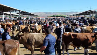 Kırıkkale Canlı Hayvan Pazarı