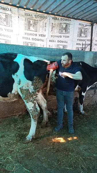Ardıç veteriner kliniği foto 2