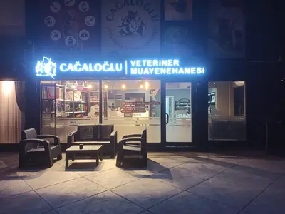 Cağaloğlu Veteriner Kliniği