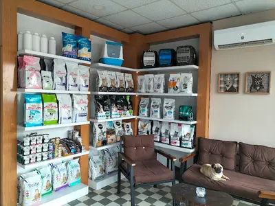 HAVZA 25 MAYIS VETERİNER MUAYENEHANESİ