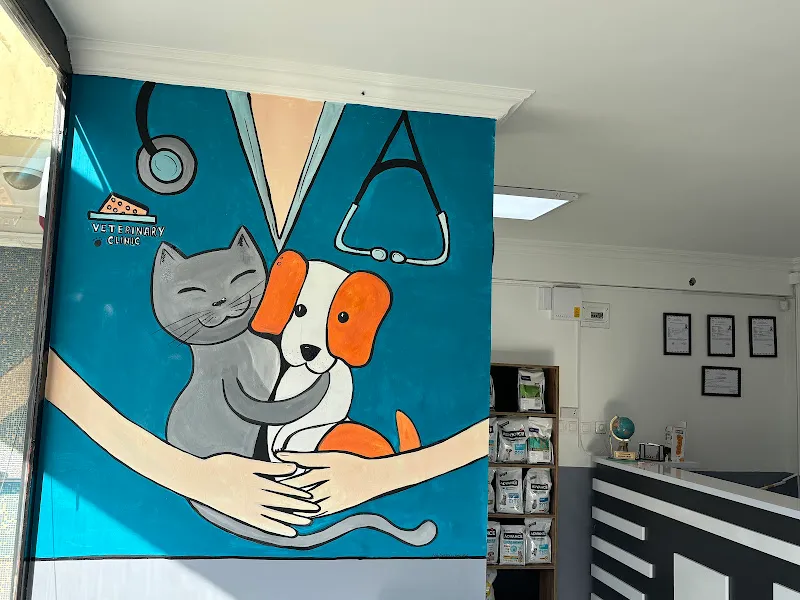 Dikmen Ata Veteriner Kliniği foto 2