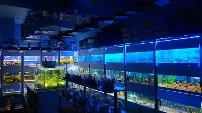 Tuanna Petshop