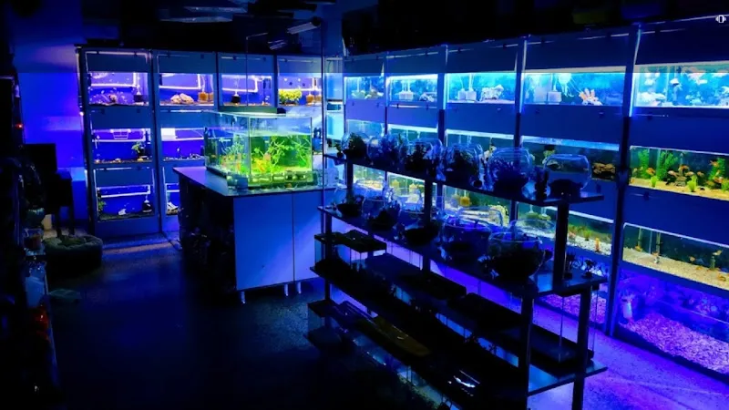 Tuanna Petshop foto 2