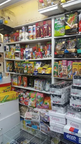 Emniyet Kanarya Galerisi foto 2