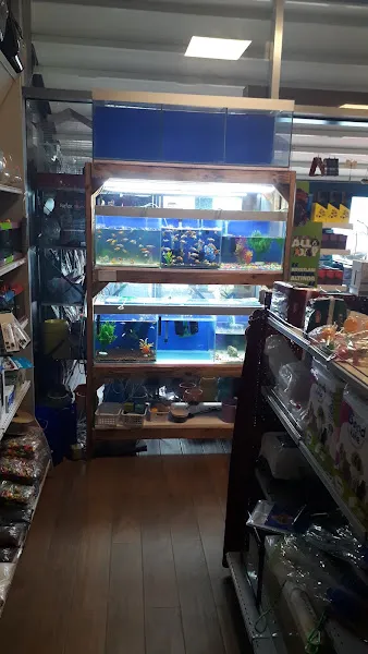 Canlar Petshop foto 2