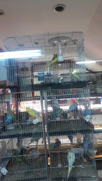 Yenişehir petshop foto 2