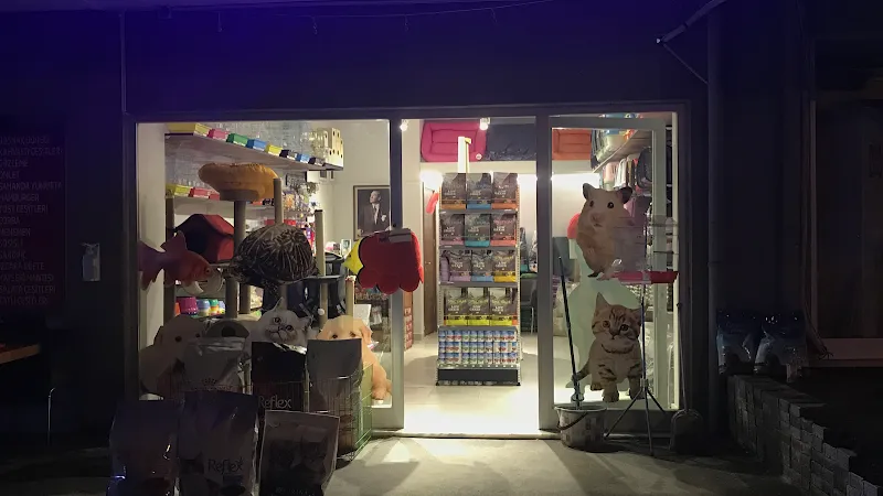 Life Petshop foto 2