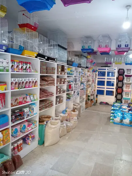 İÇMELER PETSHOP foto 2