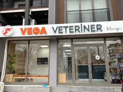 Vega Veteriner Kliniği