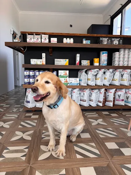 Odvet Urla Veteriner Kliniği foto 2