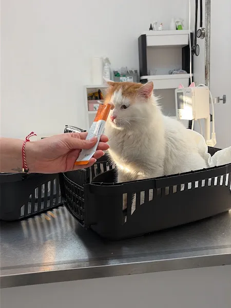 Atlas veteriner kliniği foto 2
