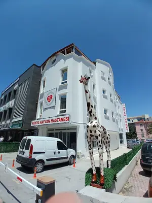 Özel Konya Hayvan Hastanesi