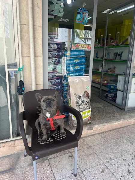 Tweety Pet Shop & Yem Market foto 2