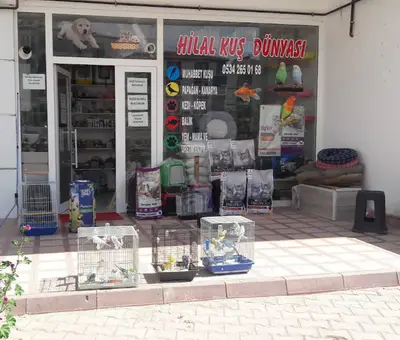 Petshop Hilal Kuş Dünyası