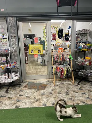 ZOOPETS SHOP