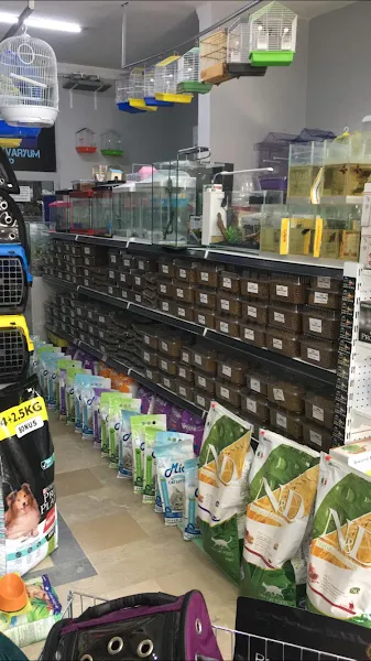 BLACKSEA AKVARYUM VE PET SHOP foto 2