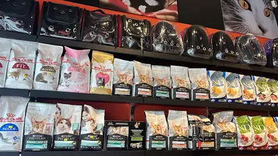 Cute Animals Petshop