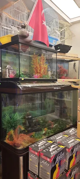 Ececan Petshop foto 2