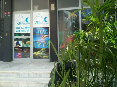 Atılım Akvaryum
