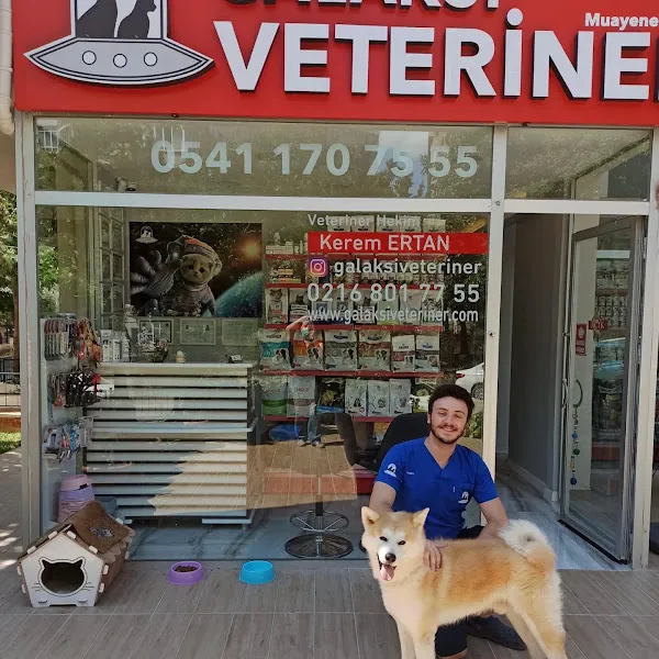 GALAKSİ PET ve KUŞ VETERİNER KLİNİĞİ foto 2