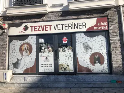 Tez-Vet Veteriner Kliniği