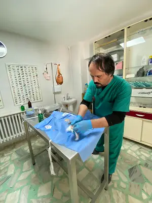 İnan veteriner kliniği