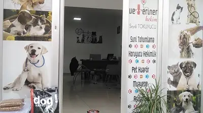 Papatiya veteriner kliniği