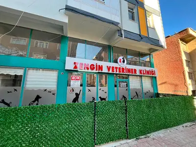 Zengin Veteriner Kliniği