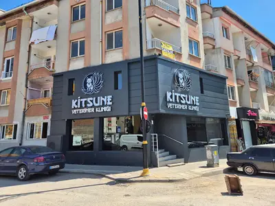 Kitsune Veteriner Kliniği