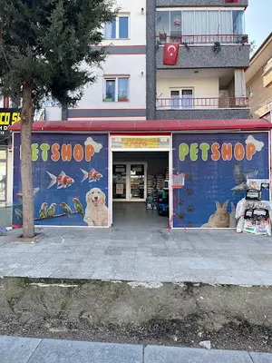 Mango Akvaryum ve Petshop